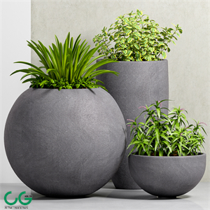 PLANT-39